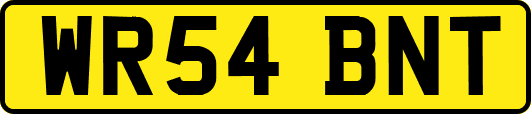 WR54BNT