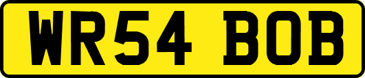 WR54BOB