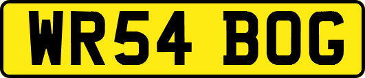 WR54BOG