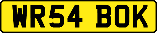 WR54BOK