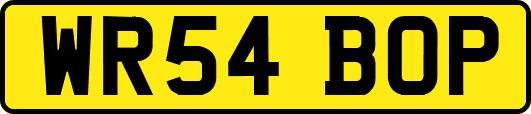 WR54BOP