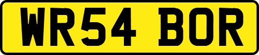 WR54BOR