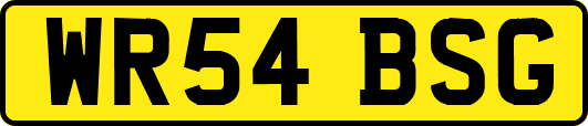 WR54BSG