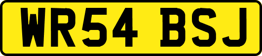 WR54BSJ