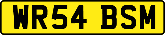 WR54BSM