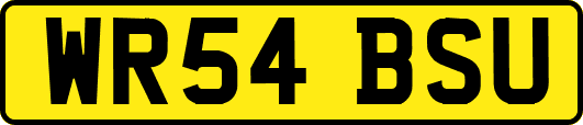 WR54BSU