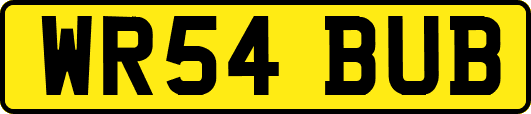 WR54BUB