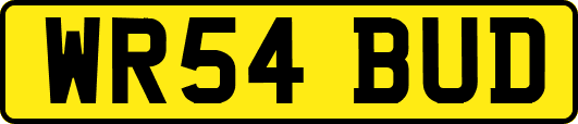 WR54BUD