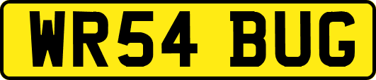 WR54BUG