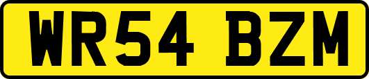 WR54BZM