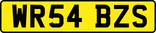 WR54BZS