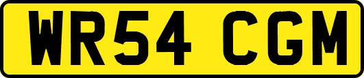 WR54CGM