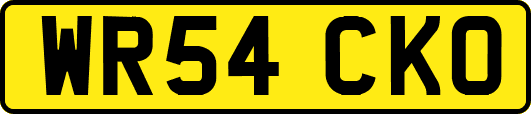 WR54CKO