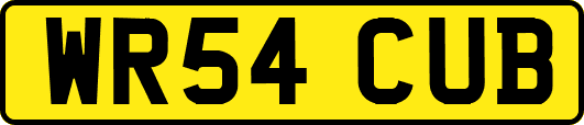 WR54CUB