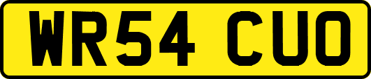 WR54CUO