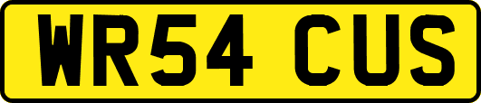 WR54CUS