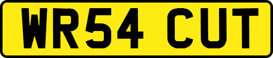 WR54CUT