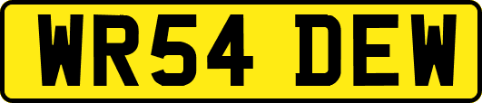 WR54DEW