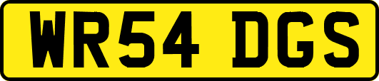 WR54DGS