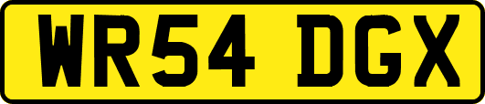 WR54DGX
