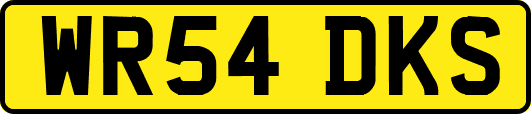 WR54DKS