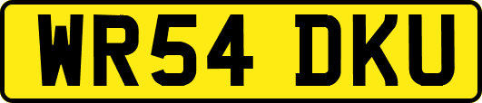 WR54DKU