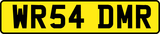 WR54DMR