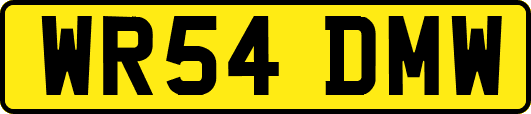 WR54DMW