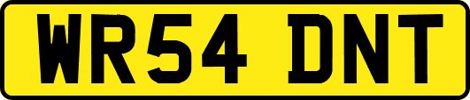 WR54DNT