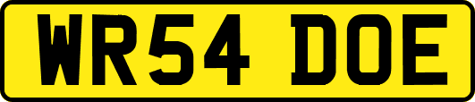 WR54DOE