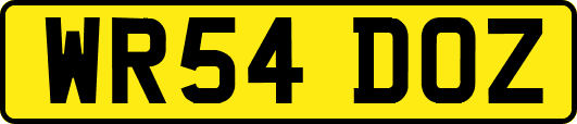 WR54DOZ