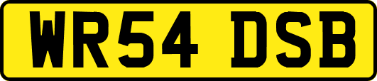 WR54DSB