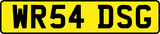 WR54DSG