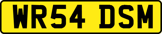 WR54DSM