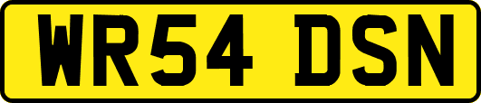 WR54DSN