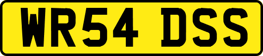 WR54DSS