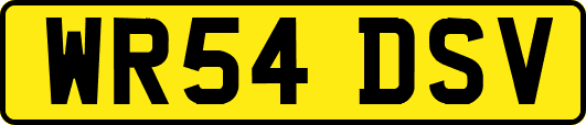 WR54DSV