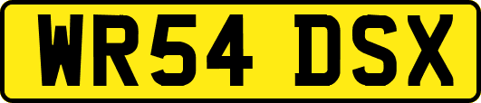 WR54DSX