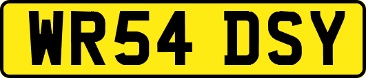 WR54DSY