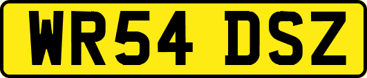 WR54DSZ