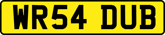 WR54DUB