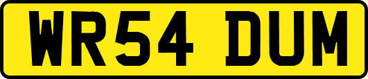 WR54DUM