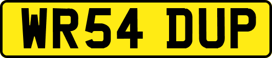 WR54DUP