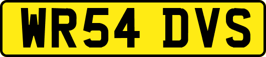 WR54DVS