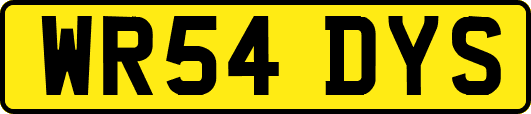 WR54DYS