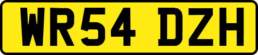 WR54DZH
