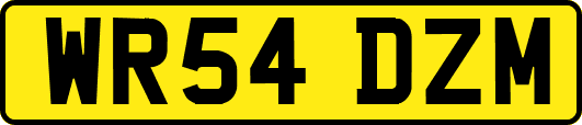 WR54DZM