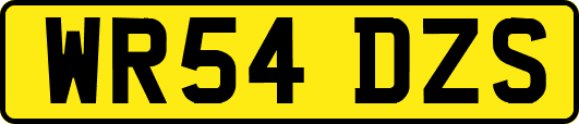 WR54DZS