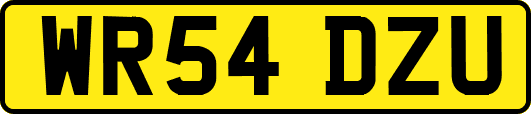WR54DZU