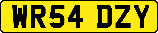 WR54DZY